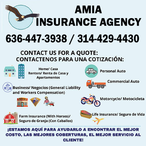 AMIA Ana Maria Agency