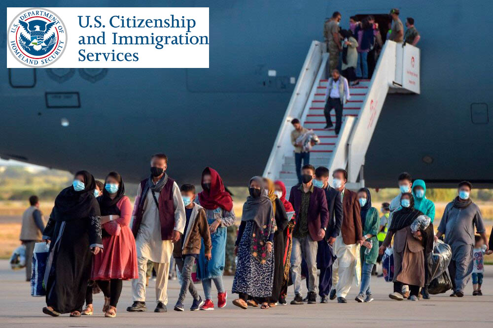 inmigracion, afganos, procesamientos expeditos, red latina 