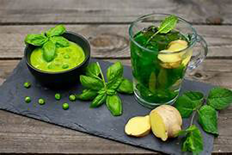 Aprovecha los compuestos curativos de la albahaca aprendiendo a preparar un té