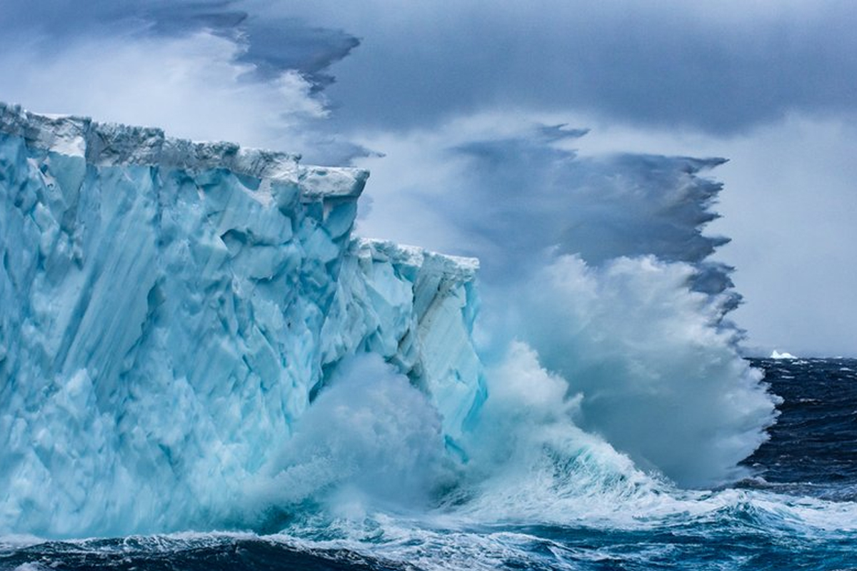 Antartida, Tempano, Lecho Marino, Red Latina