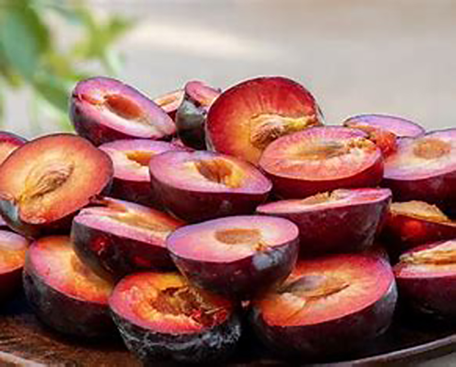 Por ser ricas en fibras, antioxidantes y nutrientes, las ciruelas aportan beneficios para la salud. Los especialistas recomiendan comer la cantidad adecuada para disfrutar de sus beneficios