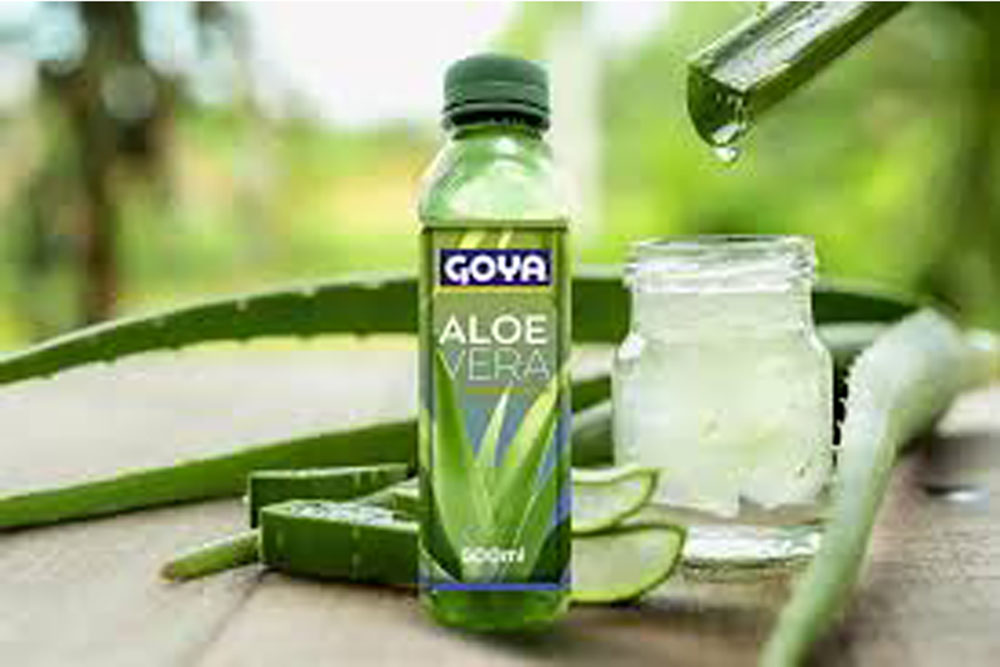  Los compuestos del aloe vera ayudan a depurar el organismo de manera natural