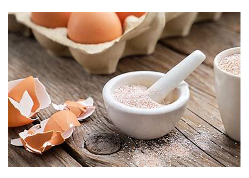   Las cáscaras de huevo representan el 10% de su peso, y por su composición se pueden usar para fabricar materiales de interés biomédicos