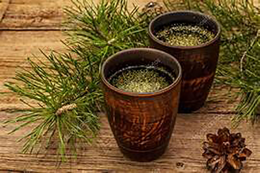 Las agujas del pino se pueden usar como si fuera hierbas, para reparar un té con efectos antioxidants