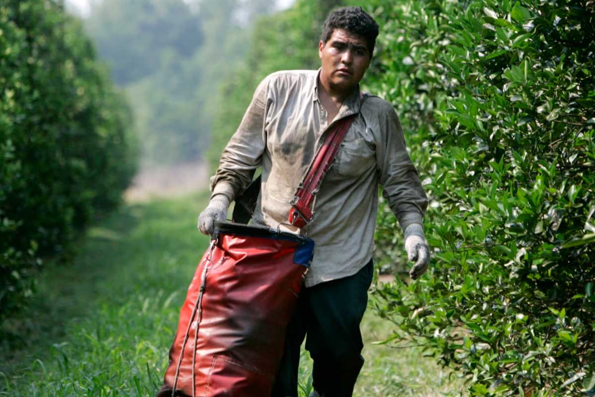 inmigracion, plan migratorio, visa, frontera, eeuu, Red Latina