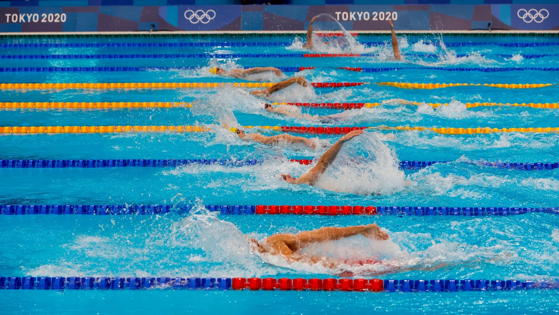 deporte, deportes, natacion, fina, juegos olimpicos, paris 2024, red latina, redlatinastl