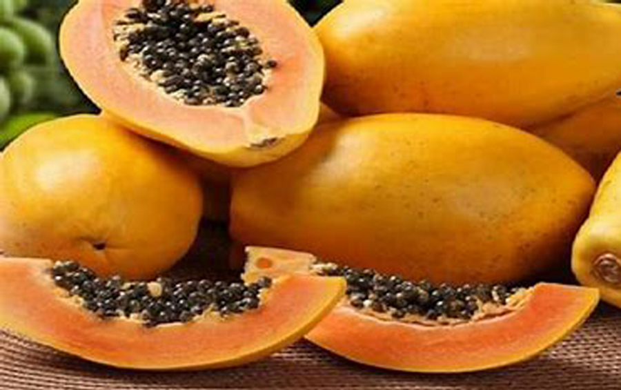  La papaya reconocida por sus efectos beneficiosos para salud por su alto valor nutricional y sus efectos para la pérdida de peso