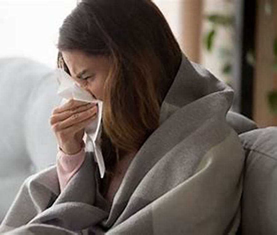  Incluir cierto tipo de alimentos a medida que se acerca el otoño ayuda a fortalecer el sistema inmune y a prevenir enfermedades