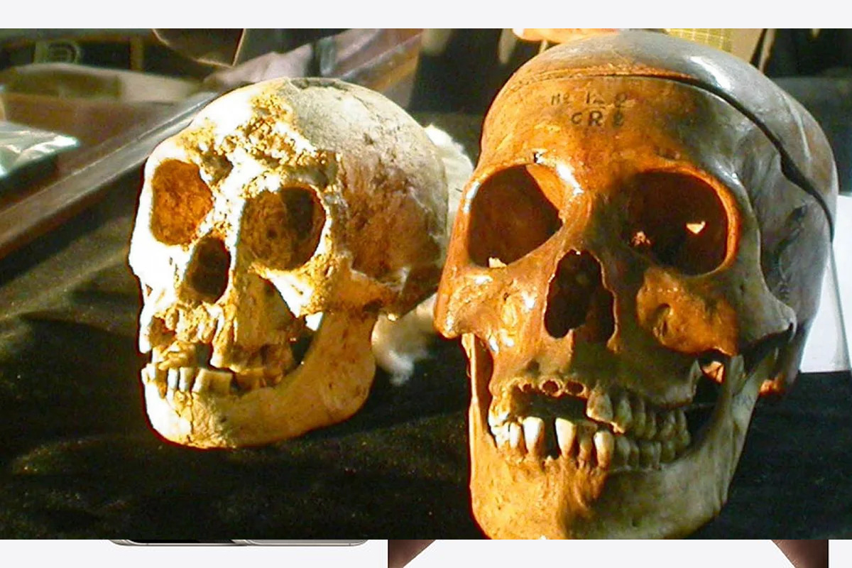 ciencia, hallazgos, paleontologos, investigaciones, red latina