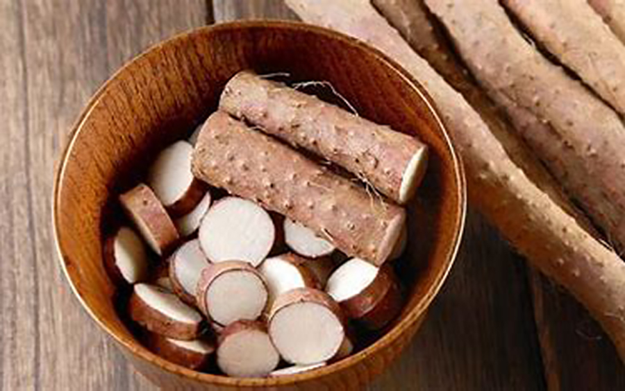  Conoce el tubérculo con alto valor nutricional, rico en fibras y con compuestos que mejoran la memoria