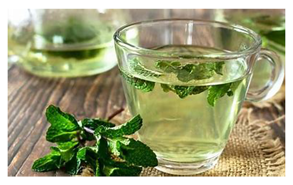  Descubre las propiedades medicinales de la hierbabuena respaldadas por la ciencia y la mejor manera de beber el té para obtener beneficios para la salud