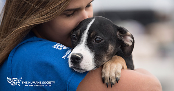 humane society, ohio, dogs rescue, 