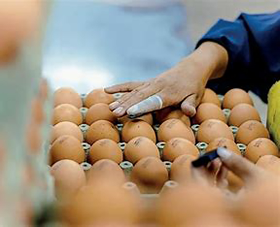 El problema se descubrió en una evaluación de rutina y los productos fueron distribuidos en Alabama, Idaho, Luisiana, Minnesota, Nebraska, Nuevo México, Ohio, Carolina del Sur y Utah.    