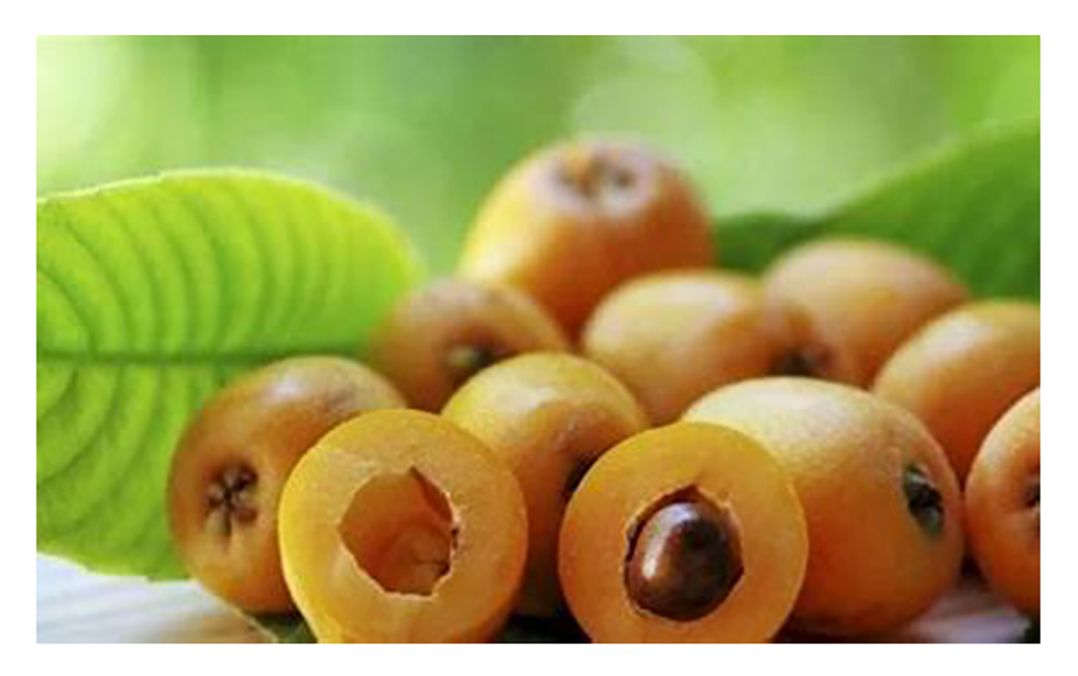   El níspero o ciruela japonesa tiene un conjunto de componente que ayuda al metabolismo y a la perdida de peso