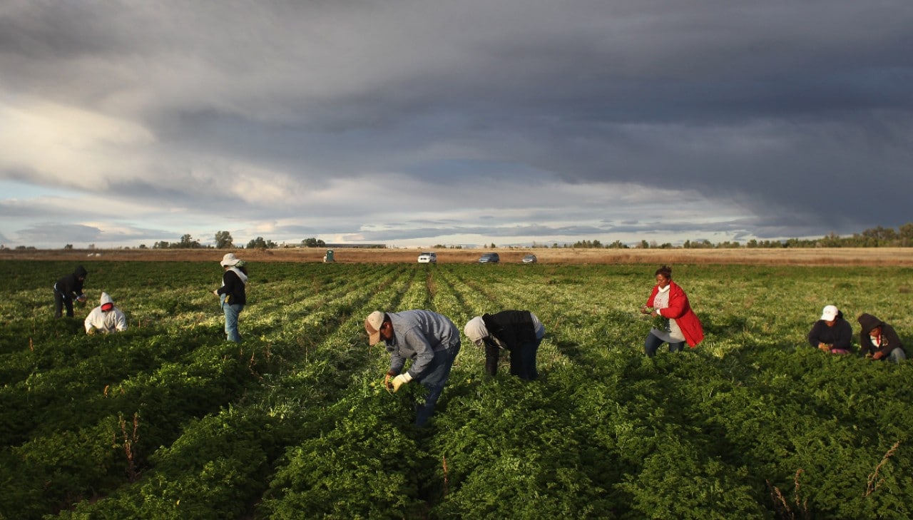 inmigracion, eeuu, trabajo, visa, empleo, migrantes, latinoamerica, red latina 