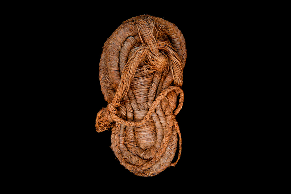 ciencia, hallazgos, investigaciones, Sandalias, red latina