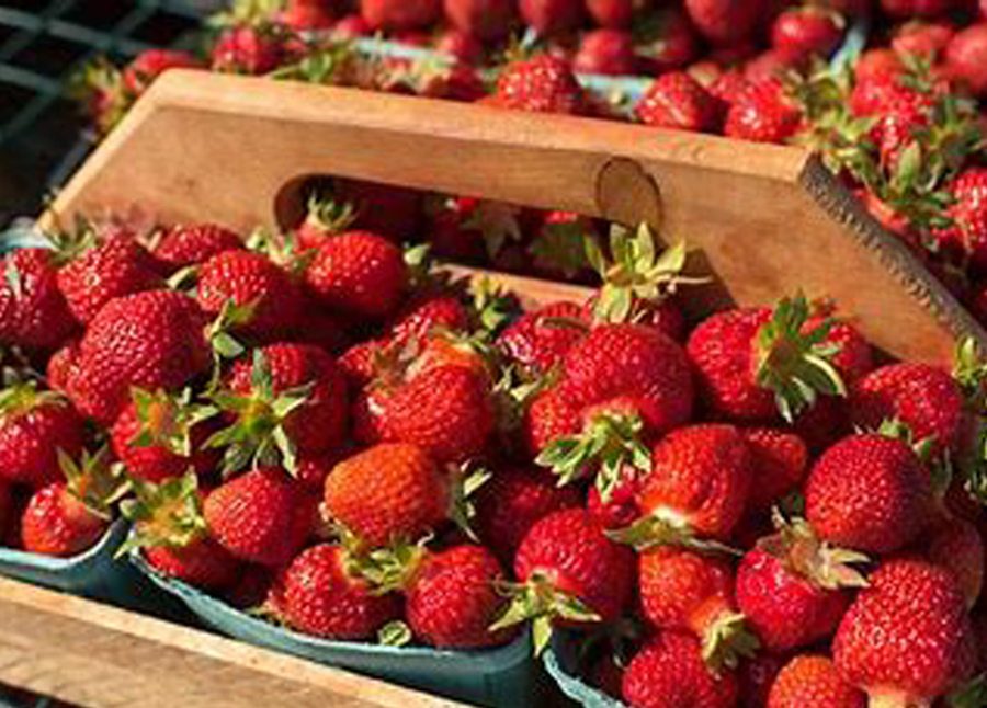 Con tan solo agua caliente y un paño de cocina puedes obtener excelentes resultado para mantener las fresas frescas por más tiempo