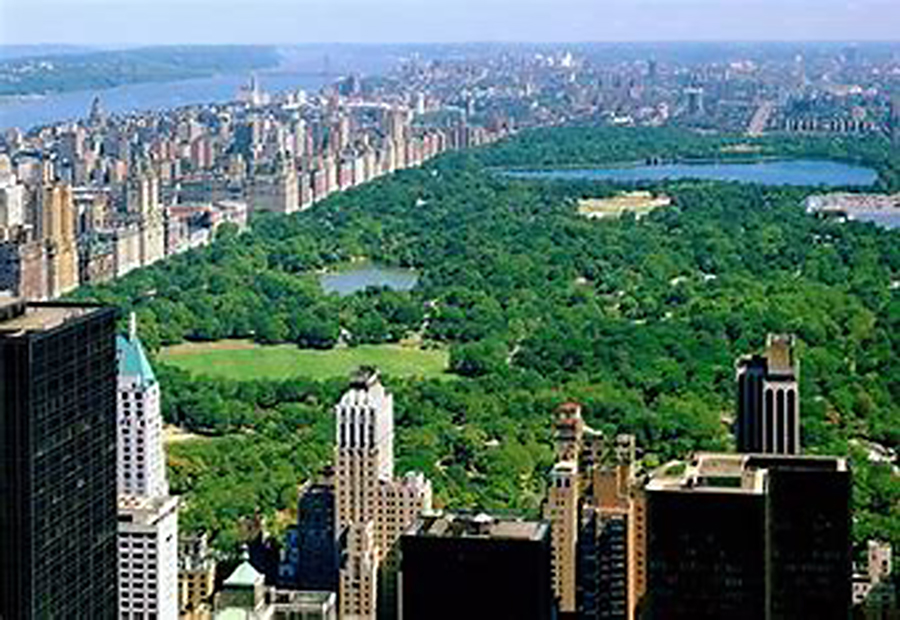 Una encuesta revela hábitos de sueño por estado y generación, mientras expertos ofrecen consejos para mejorar el descanso nocturno