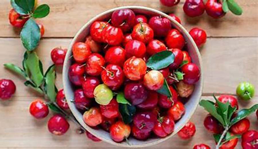 Un estudio indica que la acerola “contiene una cantidad exorbitante de ácido ascórbico alrededor de 50 a 100 veces más que la Naranja