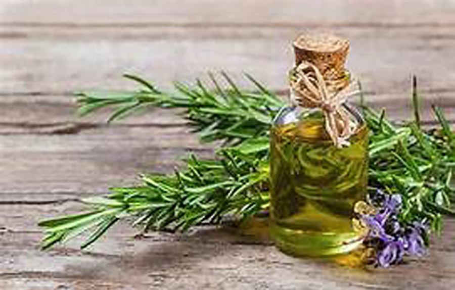  Hervir ramitas de romero en casa purifica el aire, elimina olores, atrae armonía y favorece la relajación. Conoce sus beneficios