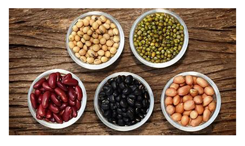  Incluir legumbres en la dieta trae beneficios a la salud, pero hay 5 que ayudan a la perdida de grasa corporal