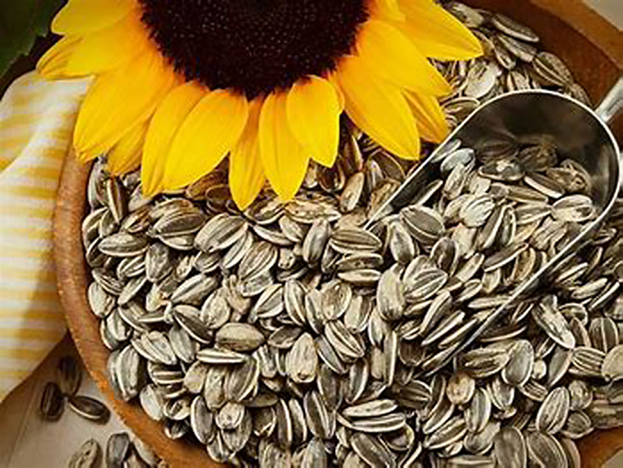 Las semillas de girasol son ricas en vitaminas, minerales y componentes bioquímicos que ayudan a la salud