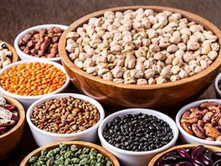  Los antinutrientes son compuestos naturales que se encuentran en diversos alimentos y que pueden interferir con la absorción de nutrientes en el cuerpo humano