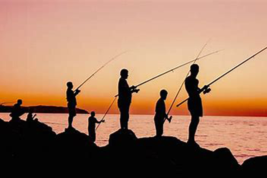 Estudios recientes muestran que la mayoría de las especies de peces se están reduciendo en tamaño de forma sostenida. ¿Qué impacto tiene esto sobre los ecosistemas? ¿Y para el consumo humano?