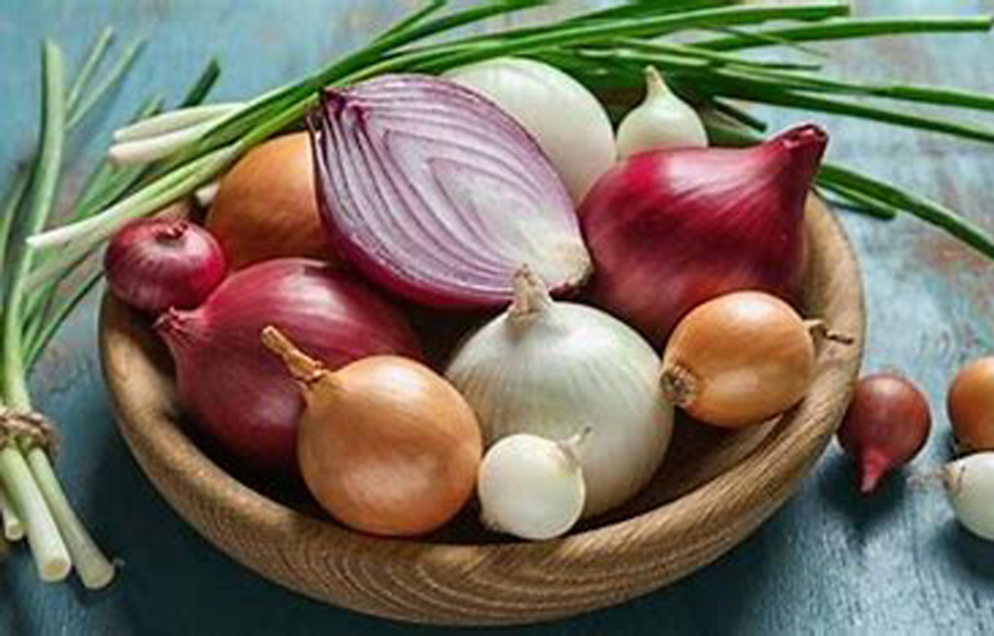 Un experto explica la importancia de la evidencia científica y aprovechar los alimentos, como la cebolla, por las razones correctas.