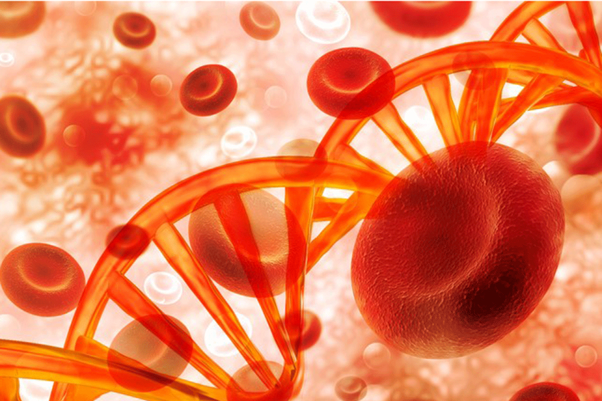 células falciformes, medula ósea, terapia genética, red latina