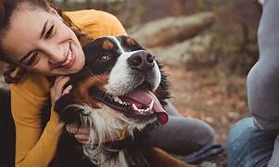  Los perros nos hacen más felices, o eso creemos. Un nuevo estudio científico revela la verdadera cara de la relación humano-perro