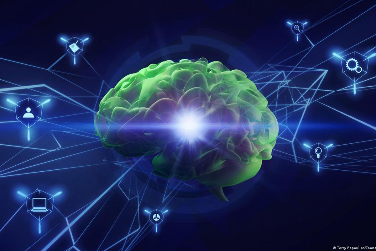 memoria, cerebro, ilusion de frecuencia, red latina