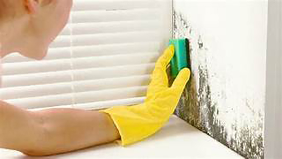  Descubre métodos caseros y simples para mantener tus paredes libres de humedad, moho y manchas sin usar productos químicos agresivos